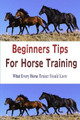 Beginners Tips for Horse Training by Author Stacey Chillemi 9780557670864