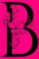 B: Monogram Initial Letter Notebook by Joyful Creations 9780464476894