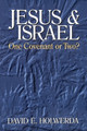 Jesus and Israel: Onve Covenant or Two? by David E. Holwerda 9780802806857