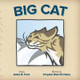 Big Cat by Adam B Ford 9780989309264