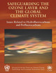 Safeguarding the Ozone Layer and the Global Climate System: Special Report of the Intergovernmental Panel on Climate Change by Intergovernmental Panel on Climate Change 9780521682060