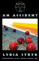 An Accident by Lydia Stryk 9780881454765