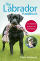 The Labrador Handbook: The definitive guide to training and caring for your Labrador Pippa Mattinson 9781785030918