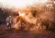 Field Notes: Volume 1 Angela Sheldrick 9781399995528