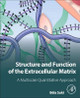 Structure and Function of the Extracellular Matrix: A Multiscale Quantitative Approach by Bela Suki