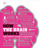 How the Brain Works: The Facts Visually Explained DK 9780241403372