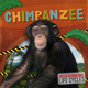 Chimpanzee E.C. Andrews 9798893593105