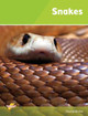 Snakes: Set 1 by David Orme