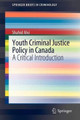 Youth Criminal Justice Policy in Canada: A Critical Introduction by Shahid Alvi 9781441902726