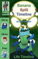 Life Timeline by Sol Quasar 9798227929716