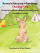 The Big Fire by Juliette Winningham 9781734770148