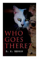 Who Goes There?: The Story of a Spy in the Civil War by B K Benson 9788027341054