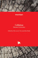 Cellulose: Biomass Conversion by Theo G M Van de Ven 9789535111726
