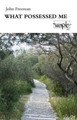 What Possessed Me by John Freeman 9781905208364