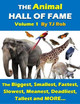 The Animal Hall of Fame - Volume 1: The Biggest, Smallest, Fastest, Slowest, Meanest, Deadliest, Tallest and More... (Age 6 and Above) by TJ Rob 9781988695273
