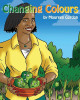 Changing Colours by Maureen Gordon 9781999967550