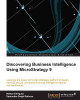 Discovering Business Intelligence Using MicroStrategy 9 by Nelson Enriquez 9781782170044