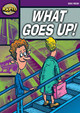 Rapid Starter Level: What Goes Up! by Dee Reid