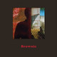 David Katzenstein: Brownie David Katzenstein 9783777445991