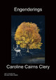 Engenderings by Cairns Clery 9781849919418