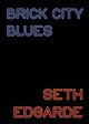 Brick City Blues by Seth Edgarde 9781610530408