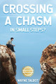 Crossing a Chasm: In Small Steps? by Wayne Talbot 9781956017533