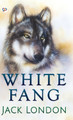 White Fang by Jack London 9789354994876