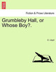 Grumbleby Hall, or Whose Boy?. by E Lloyd 9781240865604