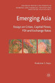 Emerging Asia: Essays on Crises, Capital Flows, FDI and Exchange Rates by R. Rajan 9781349315628
