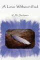 A Love Without End by C B Jackson 9781636830568