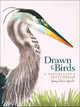 Drawn to Birds: A Naturalist's Sketchbook by Jenny deFouw Geuder