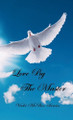 Love by the Master by Vicki McBee Irwin 9781958533987