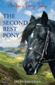 The Second Best Pony by Helen Haraldsen 9781916011250