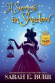 A Summit in Shadow by Sarah E Burr 9798224716951