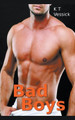 Bad Boys by K T Vessik 9798201865399