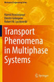 Transport Phenomena in Multiphase Systems by Hamid Arastoopour 9783030685805