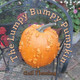 The Lumpy Bumpy Pumpkin by Gail Fleming 9781665713153