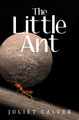 The Little Ant by Juliet Calver 9781837943890