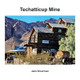 Techatticup Mine by Jane Moorman 9798330234530