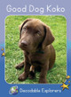 Good Dog Koko: Skills Set 2 by Rachel Walker 9781776934485