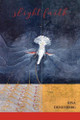 Slight Faith by Risa Denenberg 9781936657353