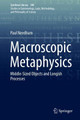 Macroscopic Metaphysics: Middle-Sized Objects and Longish Processes by Paul Needham 9783319709987