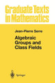 Algebraic Groups and Class Fields by Jean-Pierre Serre 9781461269939