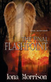 The Final Flashpoint by Iona Morrison 9781509221967