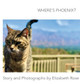 Where's Phoenix? by Elizabeth Rose 9781952103629