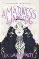 A Madness Unmade by E K Larson-Burnett 9798330485512