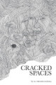 Cracked Spaces by Miguel Lopez Lemus 9781940856445