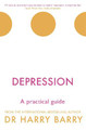 Depression: A practical guide Harry Barry 9781409174493