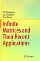 Infinite Matrices and Their Recent Applications by P.N. Shivakumar 9783319807416