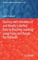 Dealing with Imbalanced and Weakly Labelled Data in Machine Learning using Fuzzy and Rough Set Methods by Sarah Vluymans 9783030046620